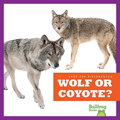 Wolf or Coyote? (Bullfrog Books: Spot the Differences)