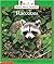 Raccoons (Rookie read-about science)