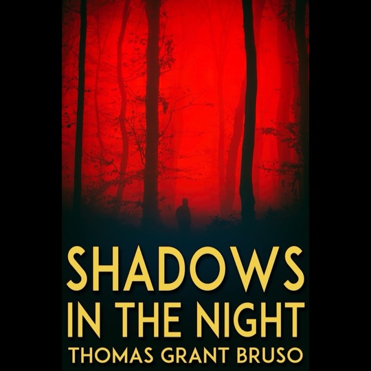 Shadows in the Night (Officer Jack Ballinger Mystery, #2)