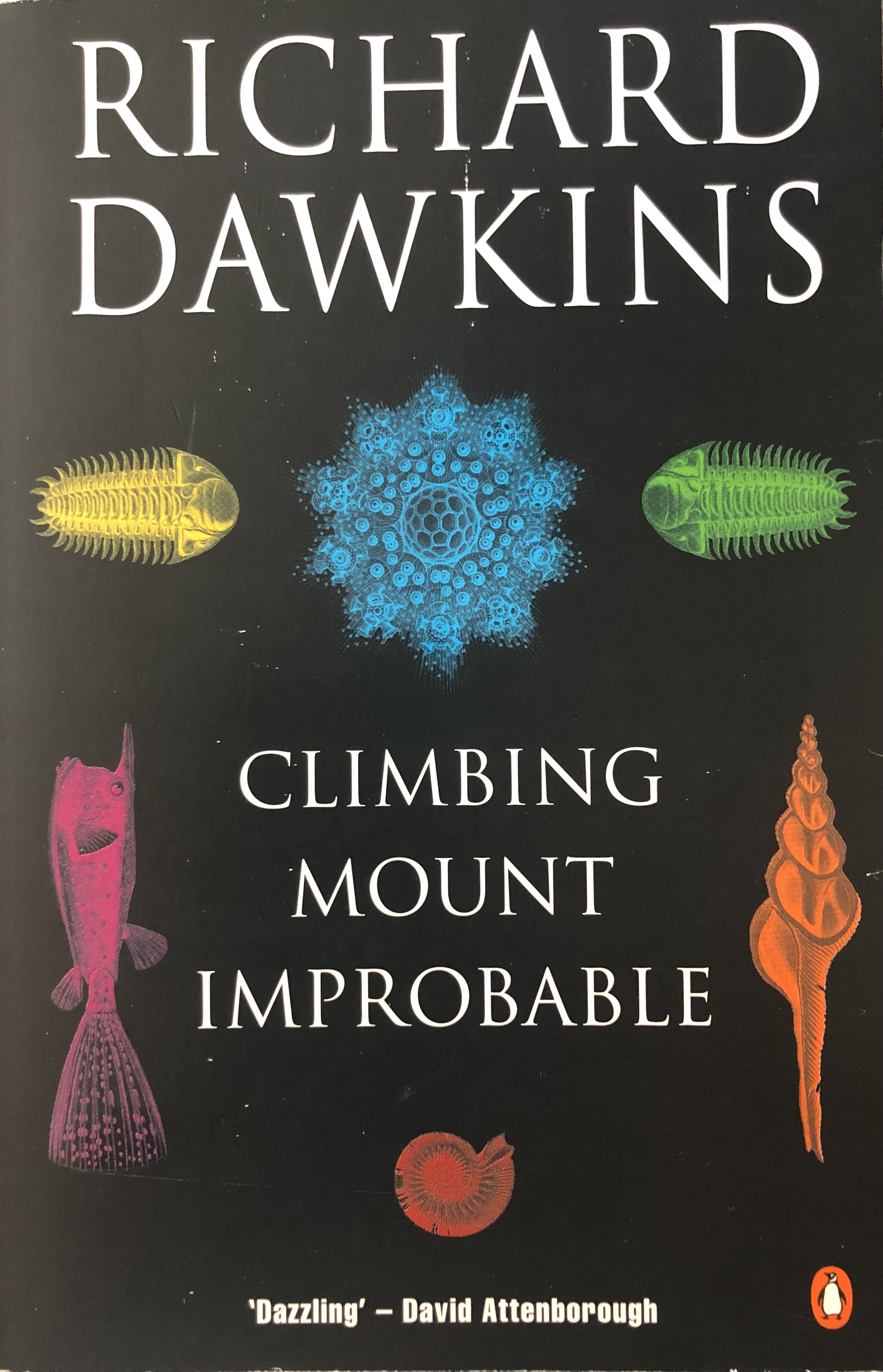 Climbing Mount Improbable