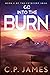 Into the Burn: A Dystopian Adventure (The Cytocorp Saga)