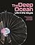 The Deep Ocean: Life in the Abyss