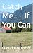 Catch Me..... If You Can by David Rotthoff
