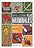 Mitos y leyendas de los mundiales (Biblioteca Alberto Montt) (Spanish Edition)