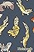 Chub Geckos In Dark Grey No...