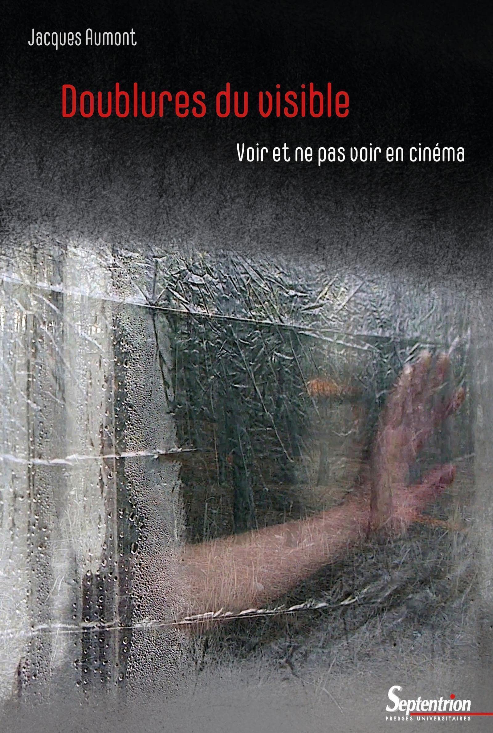 Doublures du visible: Voir et ne pas voir en cinéma (Paperback)