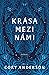 Krása mezi námi (What Beauty There is, #1)