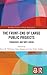 The Front-end of Large Publ...