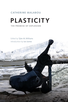 Plasticity: The Promise of Explosion (Paperback)
