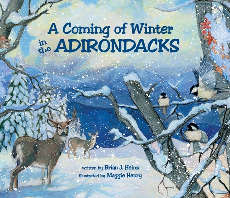 Coming Of Winter In The Adirondacks