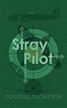 Stray Pilot