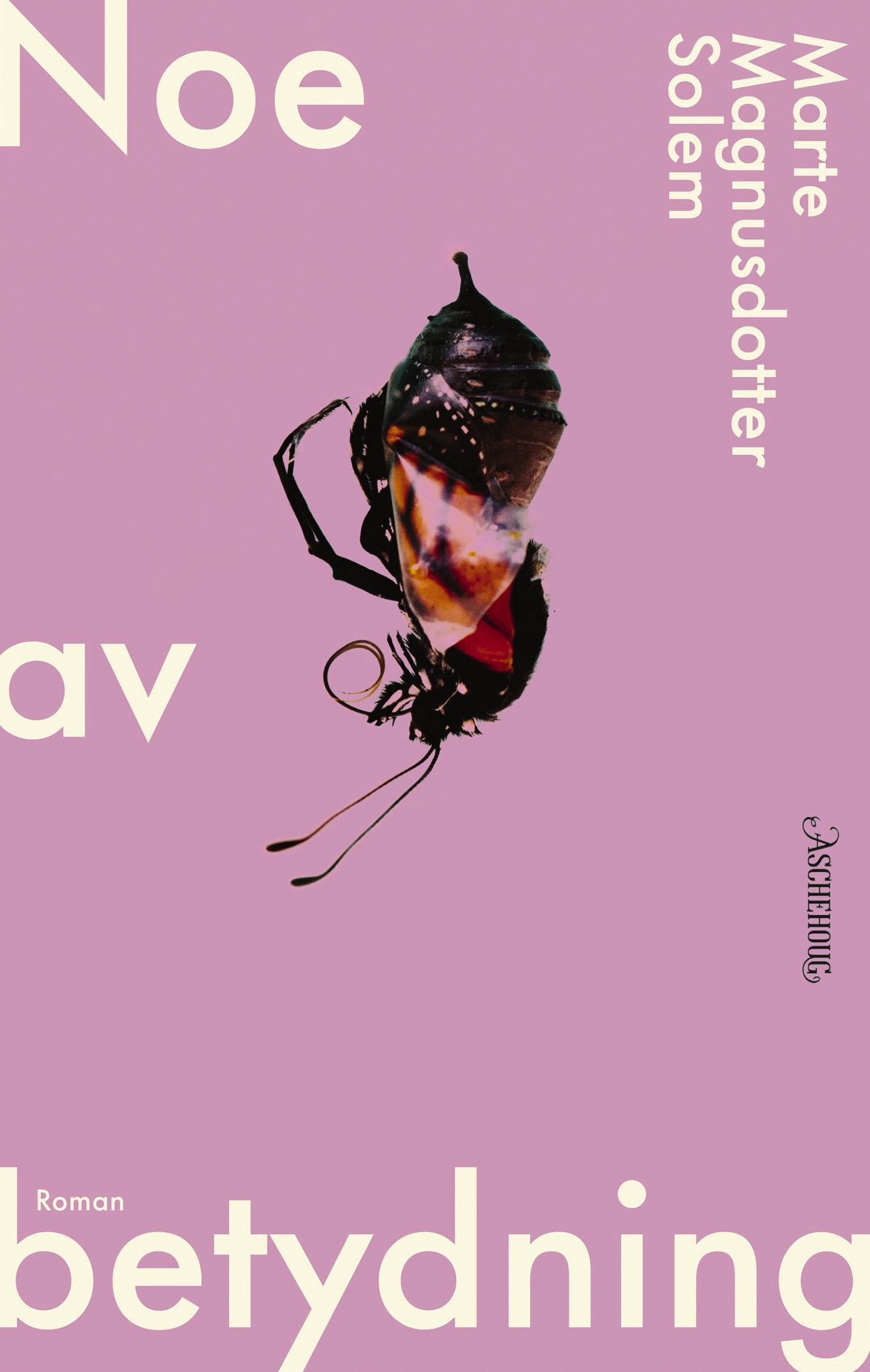 Noe av betydning (Hardcover)