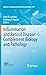 Inflammation and Retinal Disease: Complement Biology and Pathology (Advances in Experimental Medicine and Biology Book 703)
