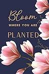 Bloom Where You Are Planted Journal: Dot/Grid Journal | Modern Floral Cute Floral Aesthetic cover for Self-Care. Great for Writing and Drawing Bloom Where You Are Planted Journal: Dot/Grid Journal | Modern Floral Cute Floral Aesthetic cover for Self-Care. Great for Writing and Drawing