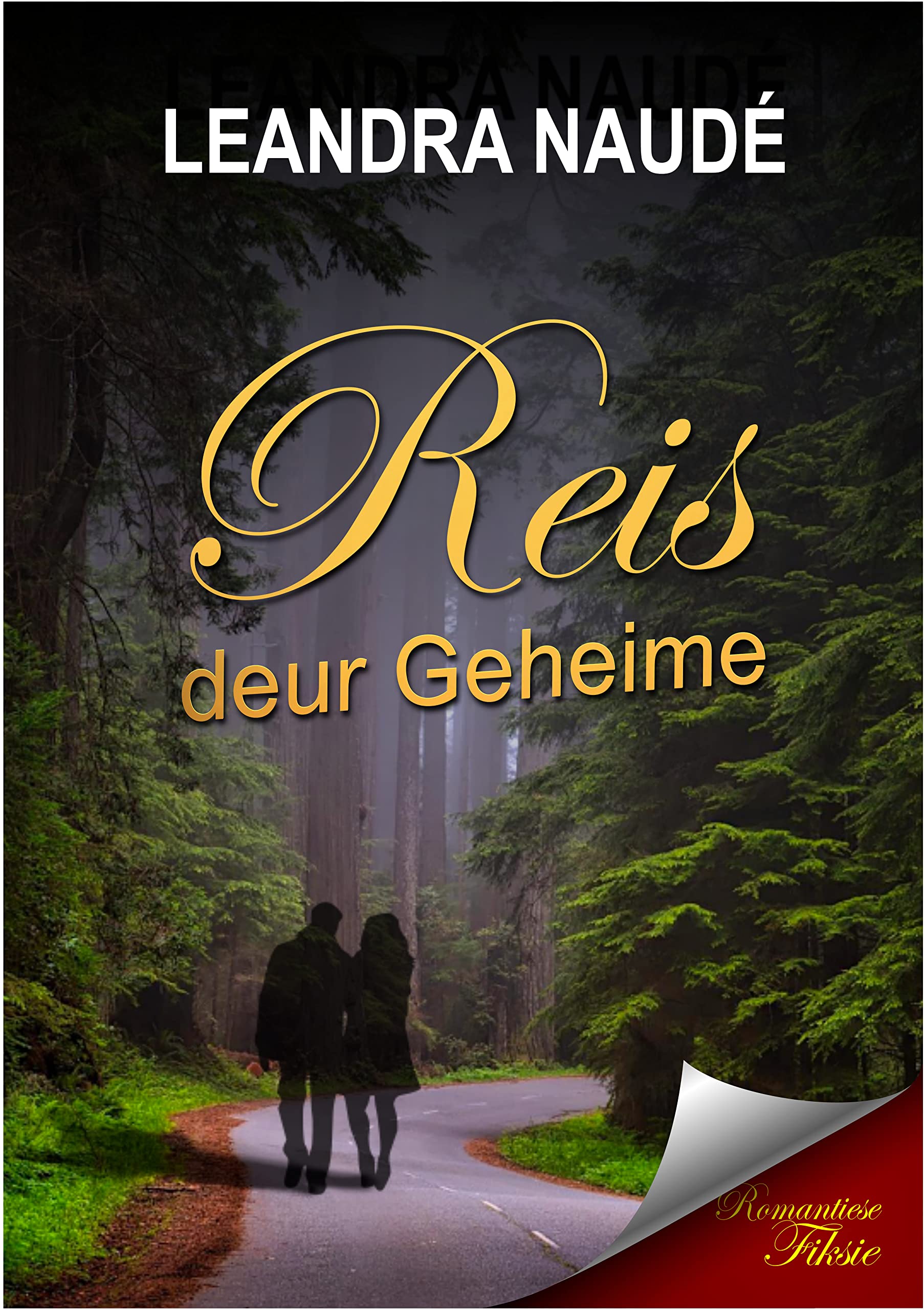 Reis deur Geheime (Afrikaans Edition)