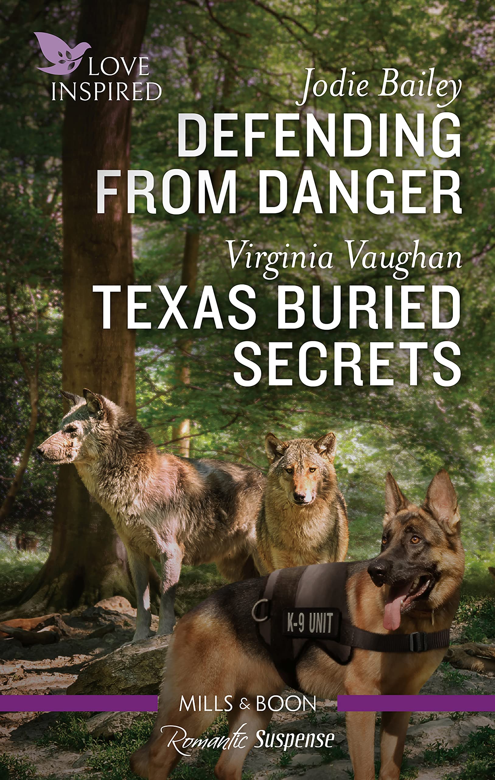 Defending from Danger/Texas Buried Secrets (Rocky Mountain K-9 Unit Book 5)