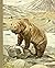 Vintage Grizzly Bear Illust...