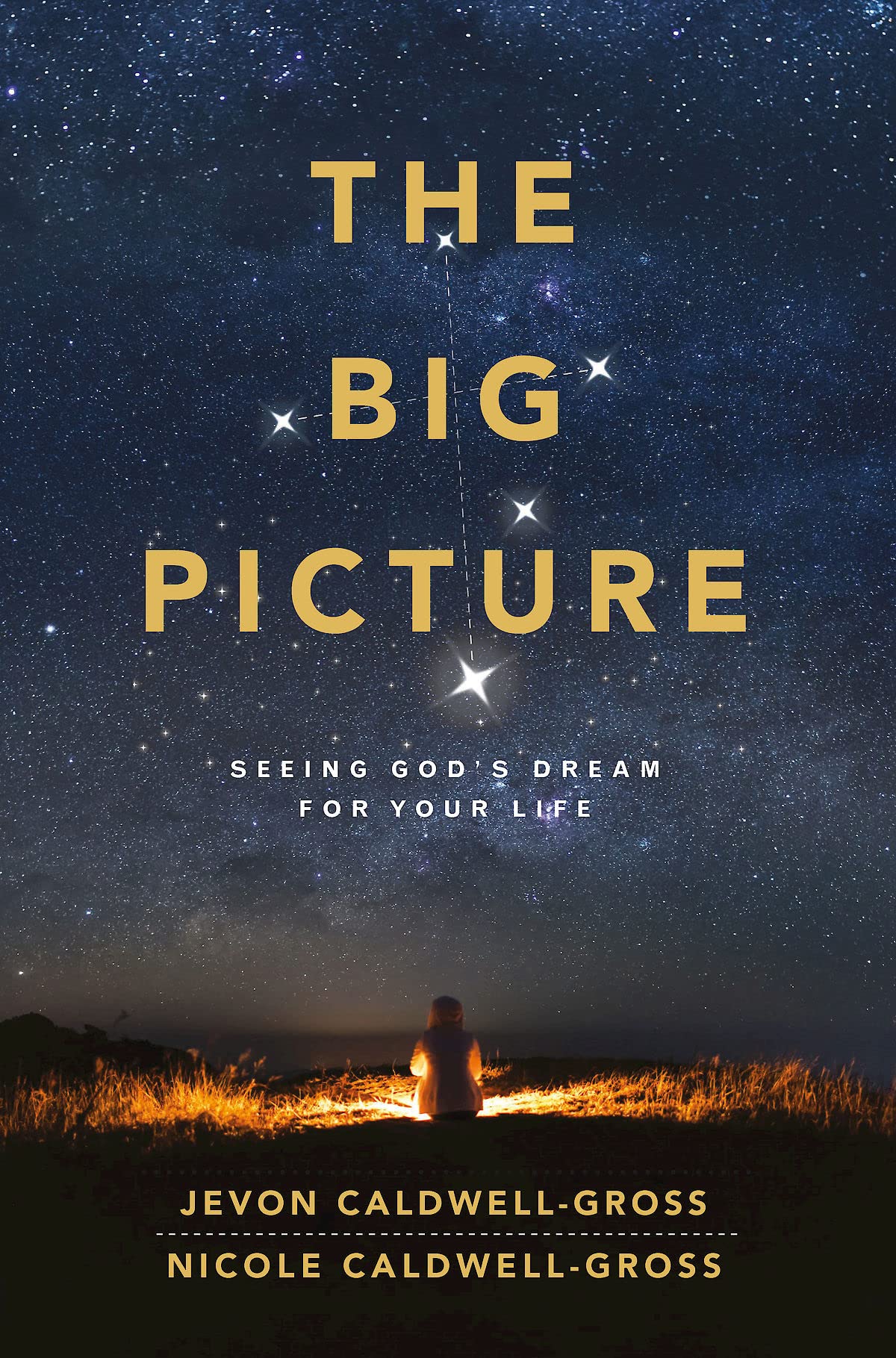 The Big Picture: Seeing God's Dream for Your Life (Kindle Edition)