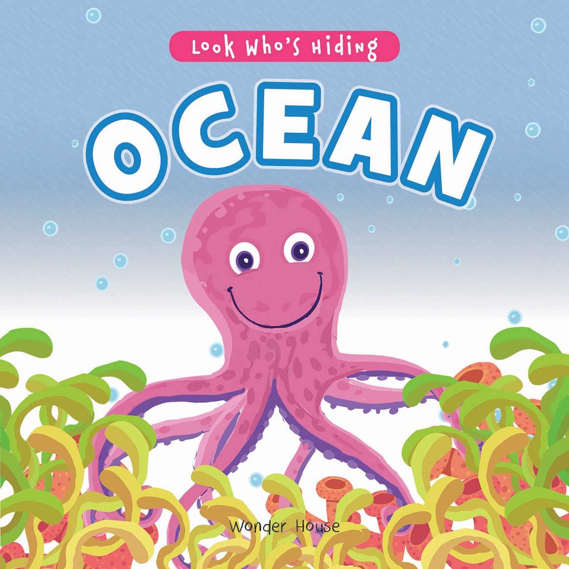 Look Who's Hiding: Ocean (Board book)
