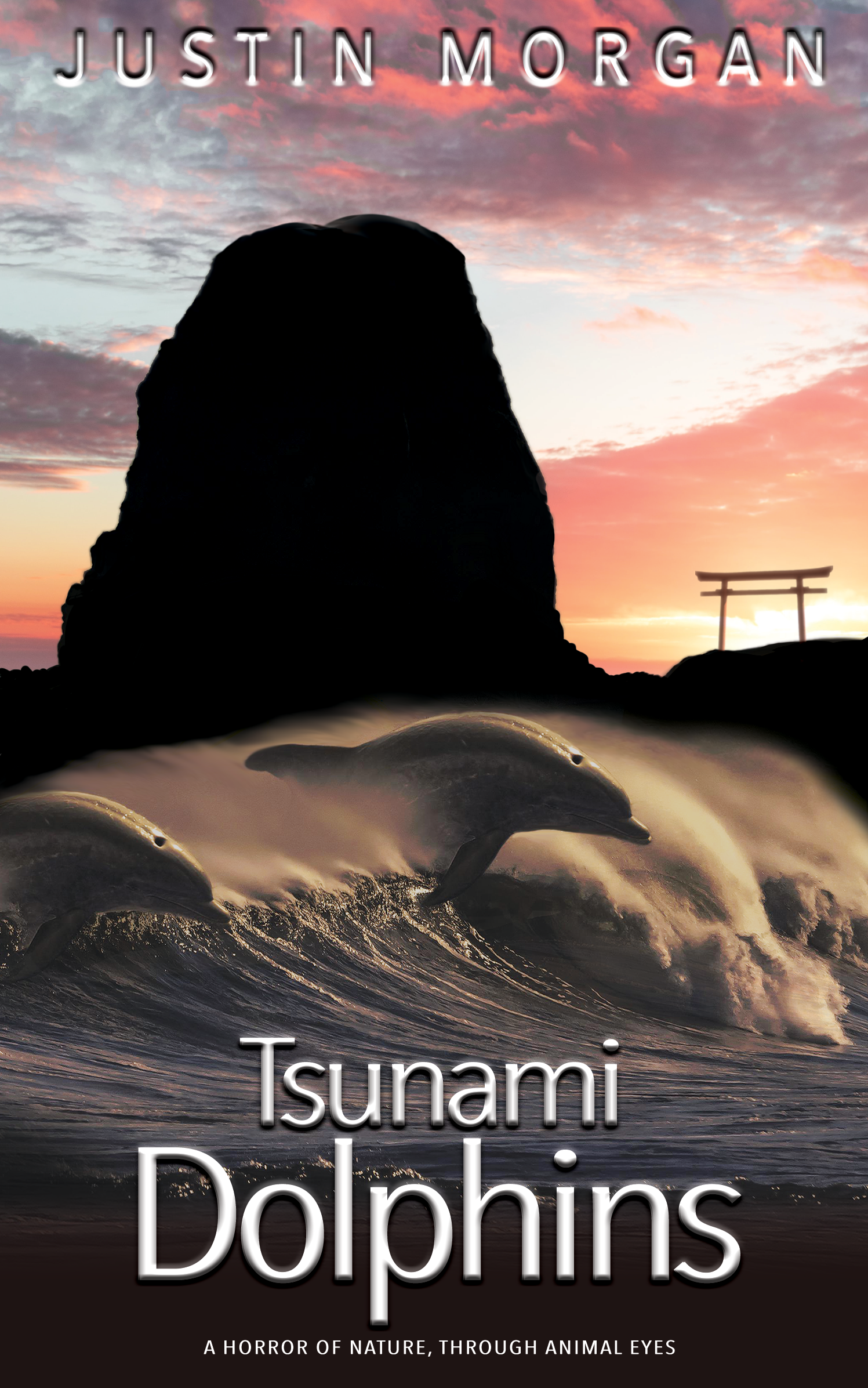 Tsunami Dolphins (Paperback)