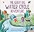 The Great Big Water Cycle Adventure (Look and Wonder)