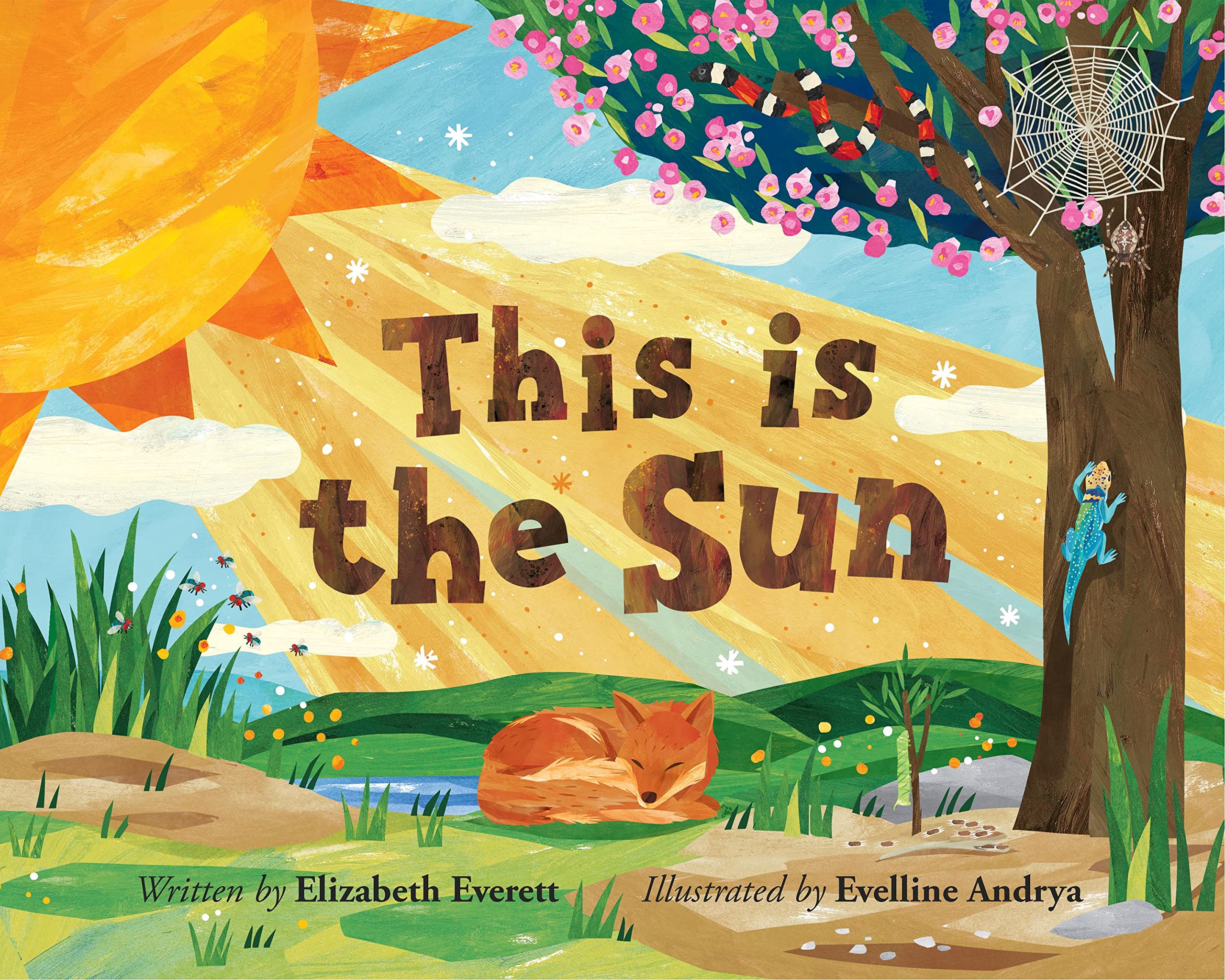 This is the Sun (Hardcover)