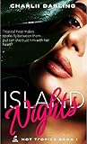 Island Nights: An insta-lust, vacation fling, healed broken heart, cinnamon roll BF romance