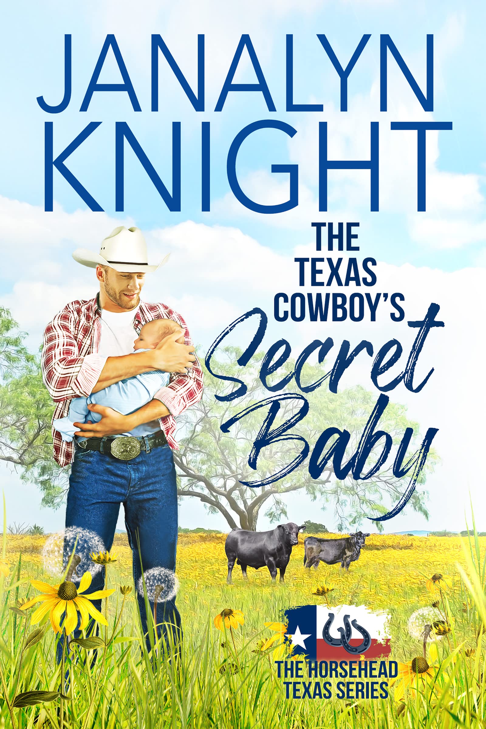 The Texas Cowboy's Secret Baby (Horsehead Texas #1)