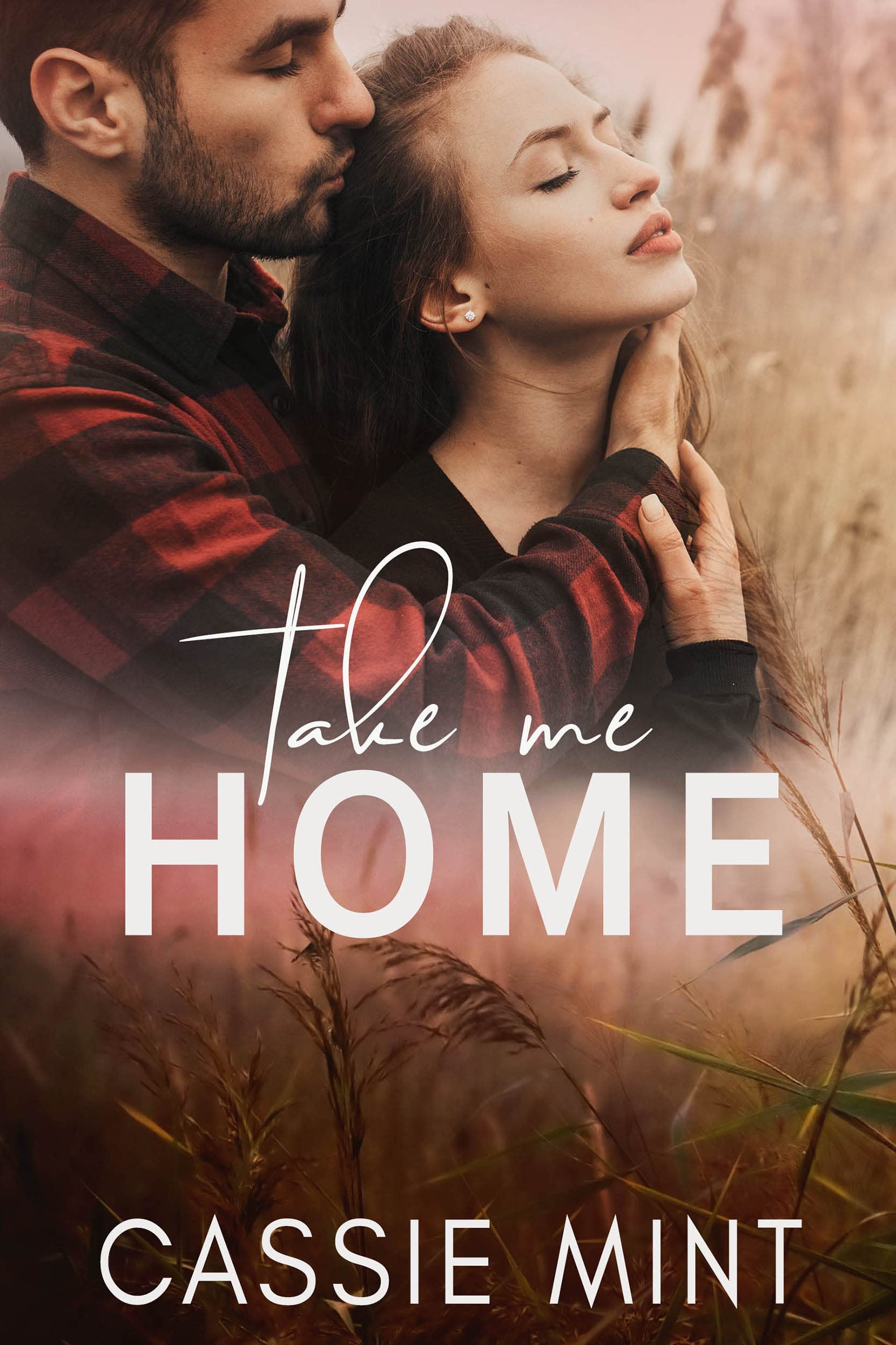 Take Me Home (Kindle Edition)