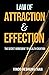 Law of Attraction & Effection: The Secret Ingredient to Wealth Creation