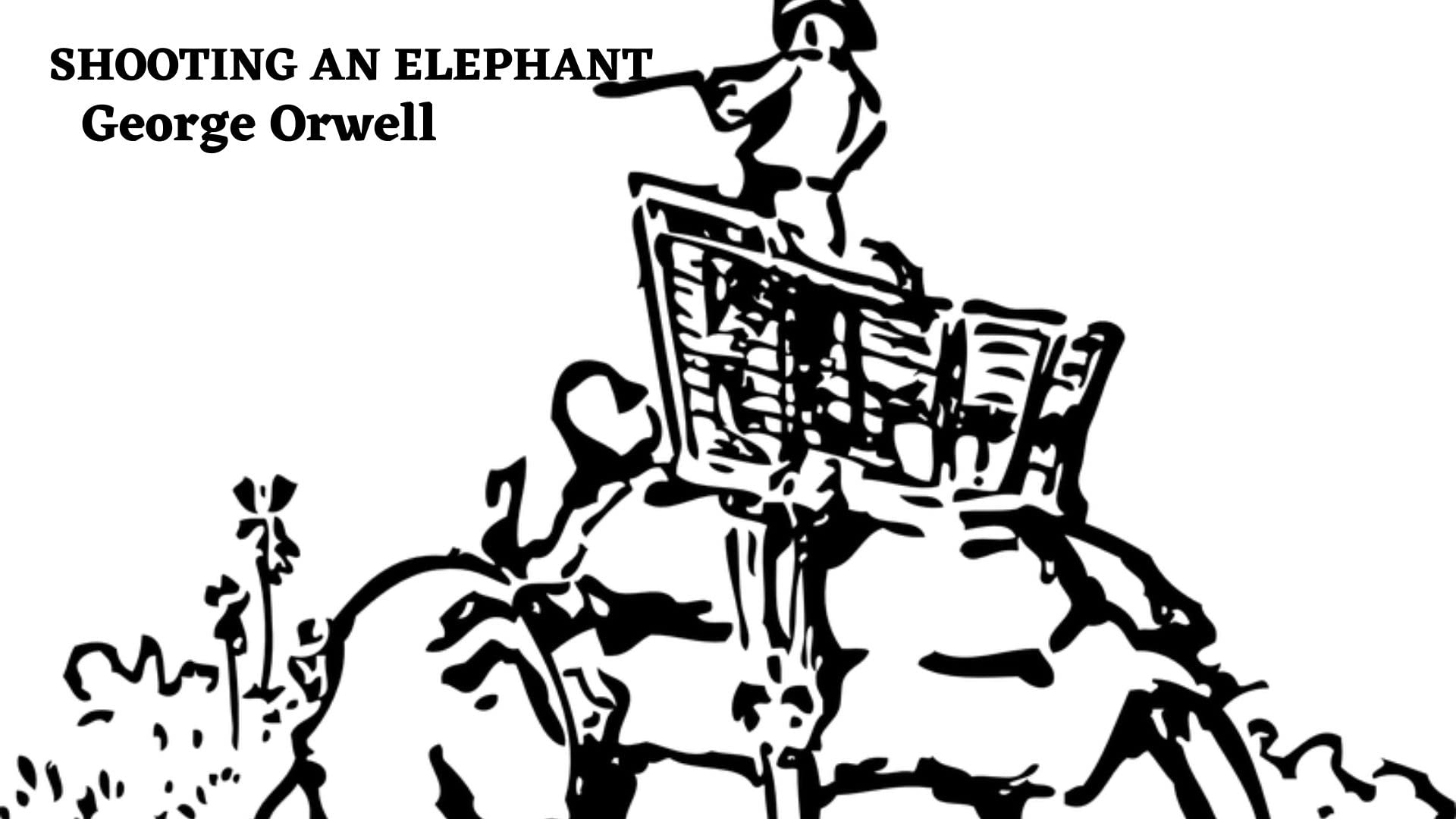 Shooting an Elephant