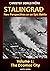 Stalingrad - New Perspectiv...