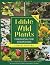 Edible Wild Plants Foraging for Beginners by Lomasi Ahusaka