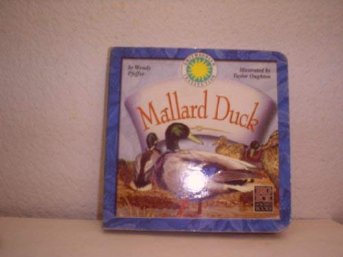 Mallard Duck (Big Box of board books)