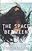 The Space Between (The Walsh Series)