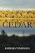 Cedar