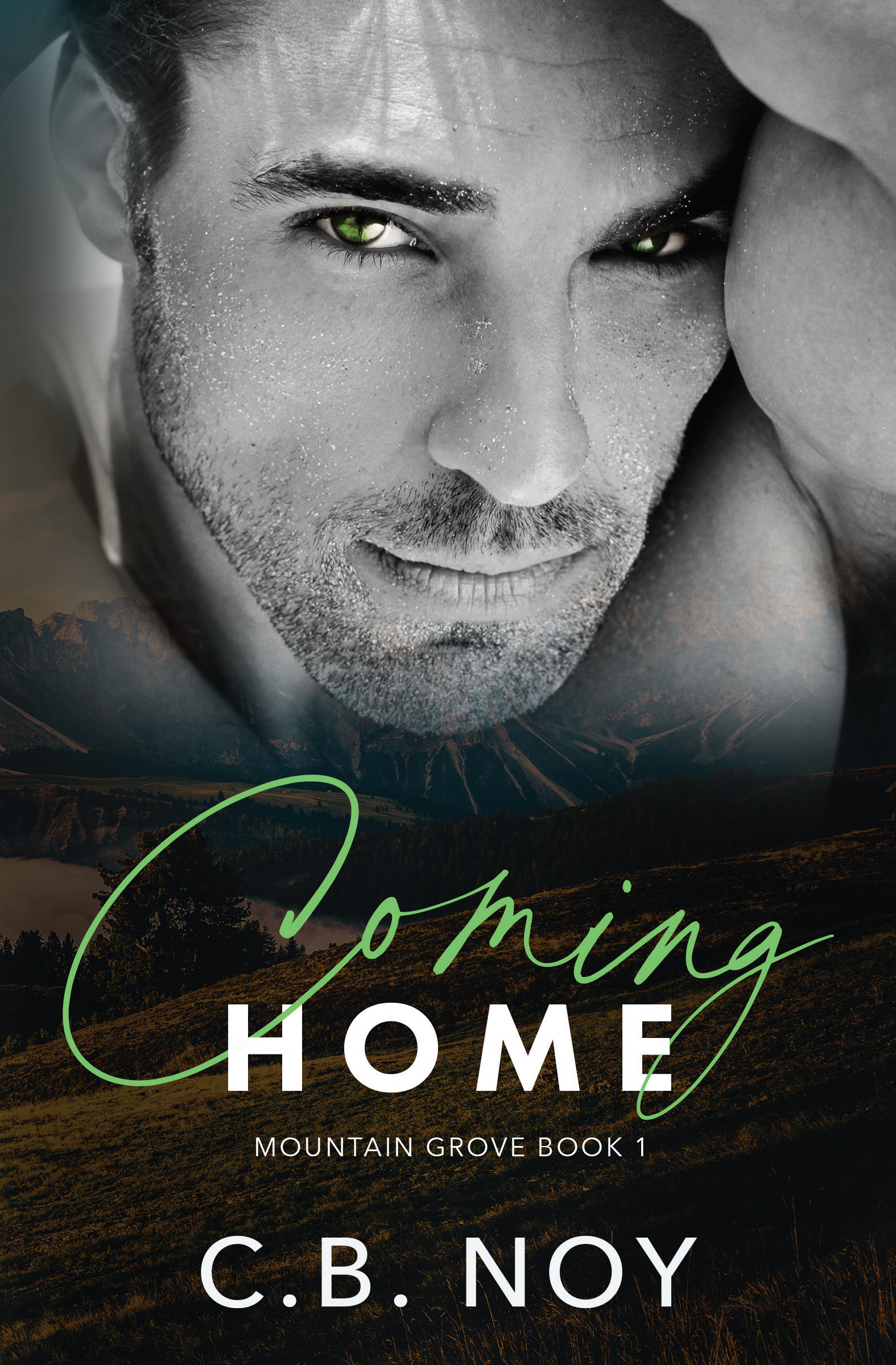 Coming Home (Mountain Grove #1)