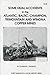 Some fatal accidents in the Atlantic, Baltic, Champion, Trimountain, and Winona copper mines (A local history series)