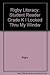 I Looked Through My Window (Literacy: Student Reader Grade K)