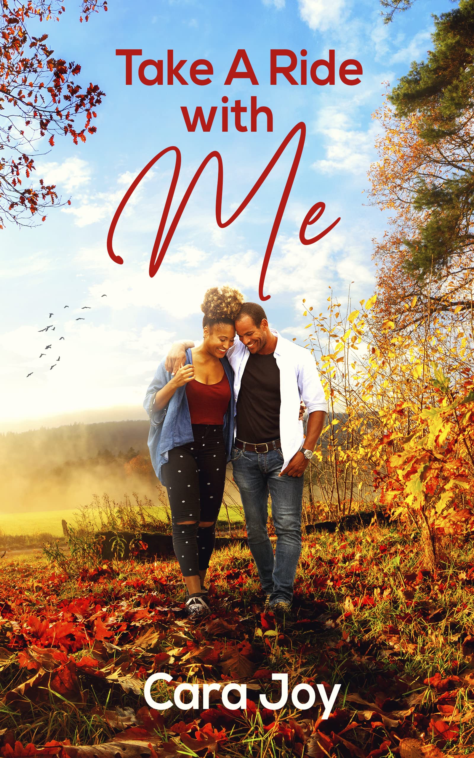 Take A Ride With Me (The Philly Doctors #1)