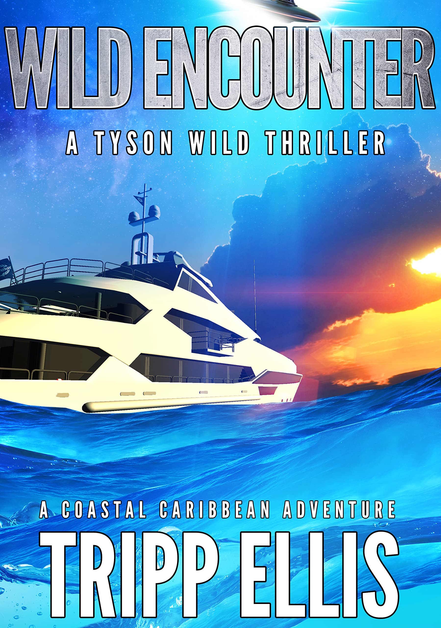 Wild Encounter (Tyson Wild Thriller, #45)