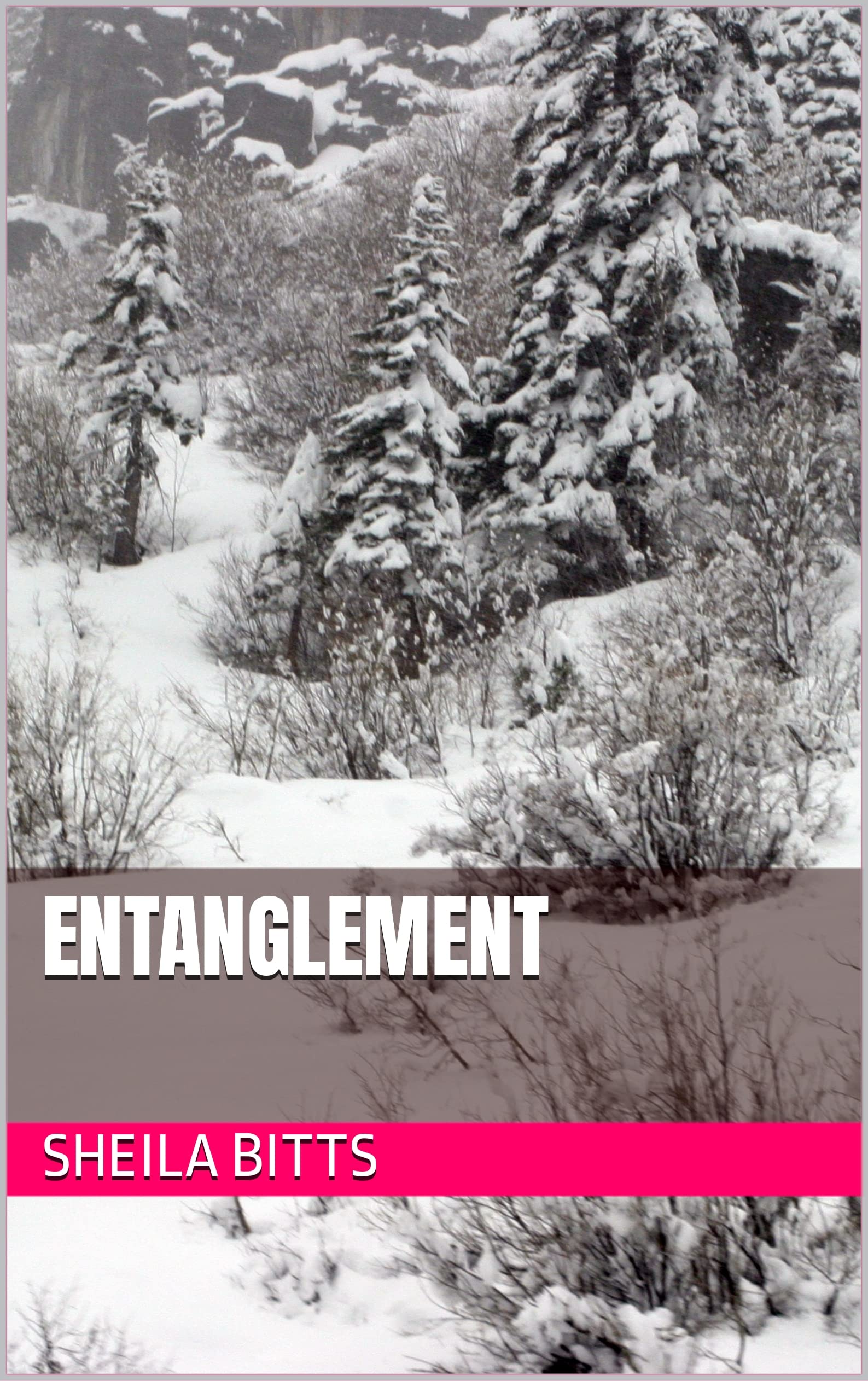 Entanglement (Falloy Private Detective Novels, #2)