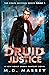 Druid Justice (Colin McCool, #5)