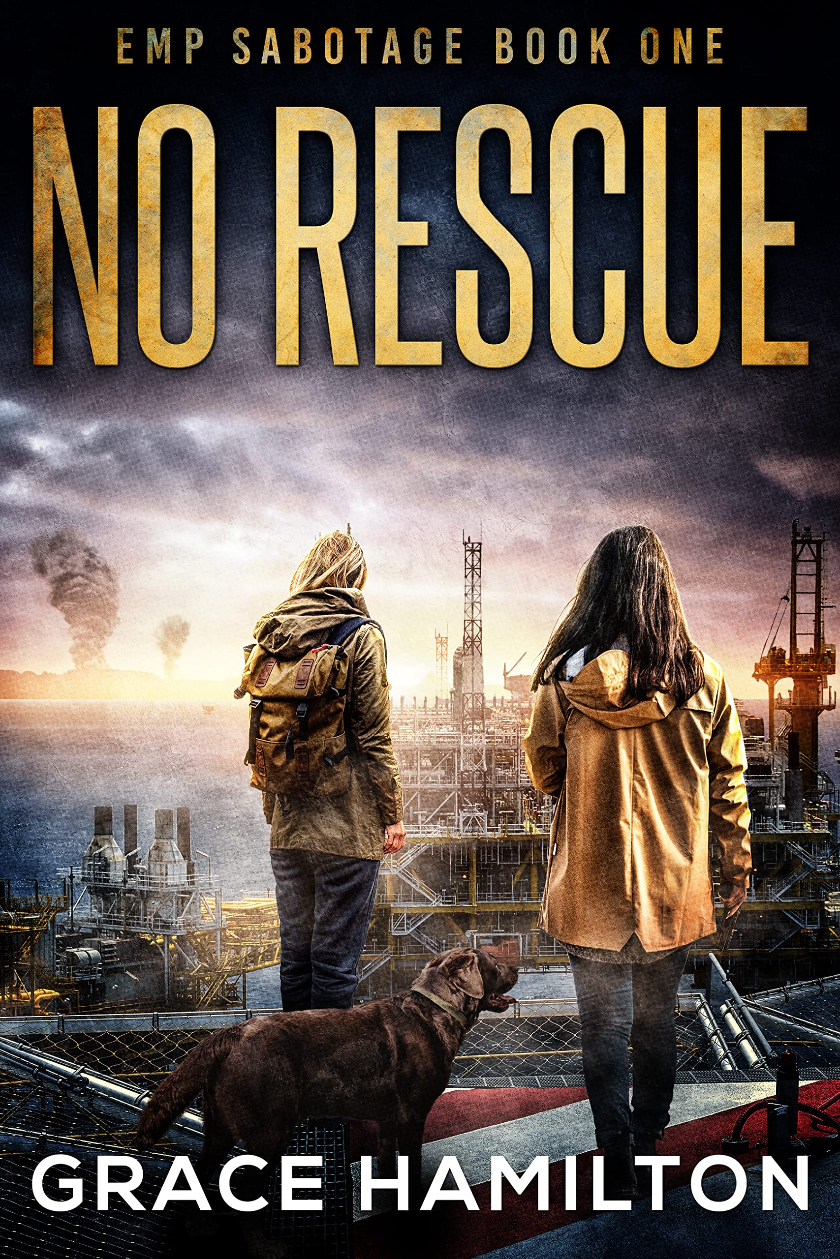 No Rescue: A Post-Apocalyptic EMP Thriller Filled With Captivating Characters & Prepper Info (EMP Sabotage Book 1)