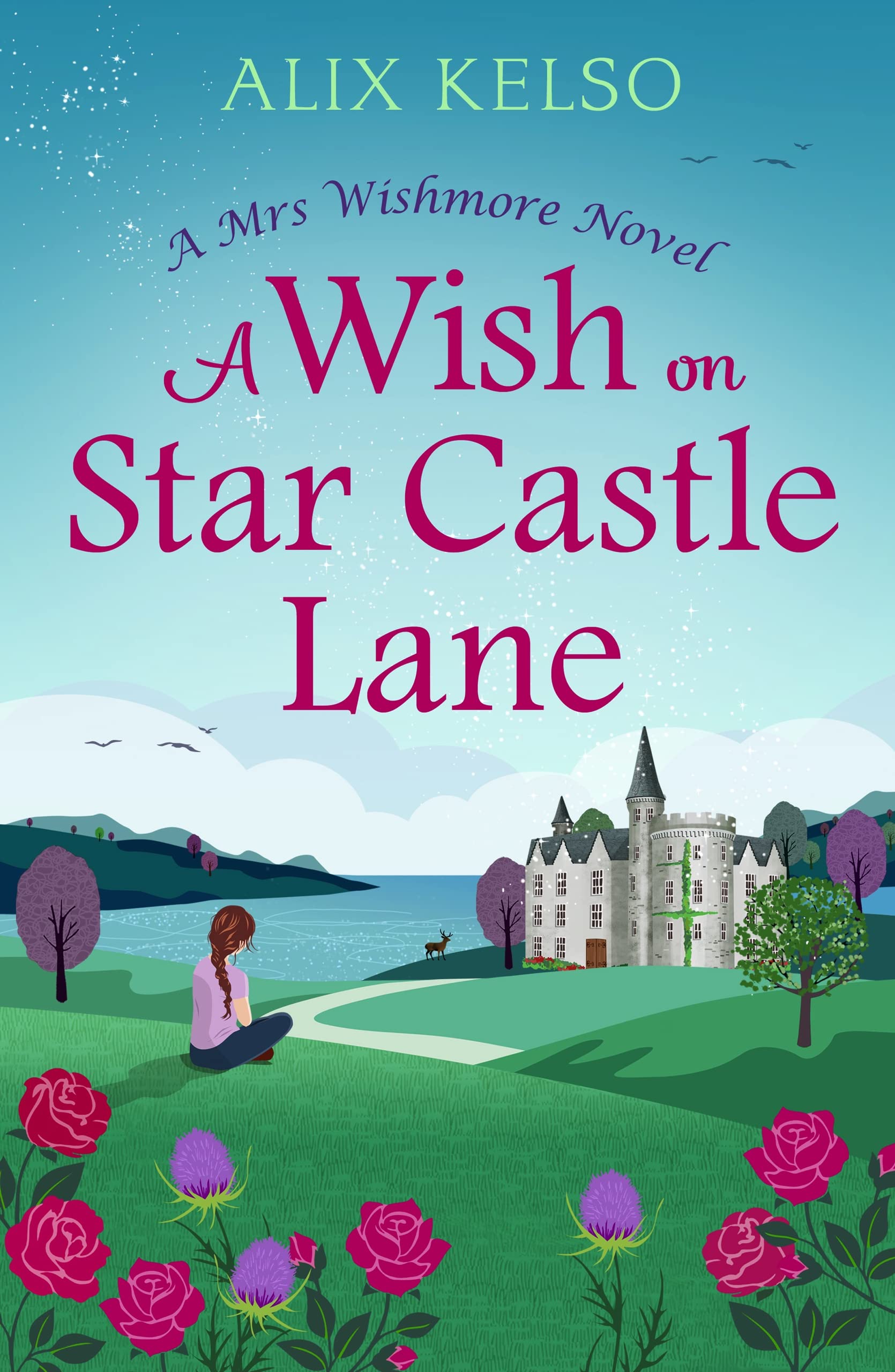 A Wish on Star Castle Lane (Mrs Wishmore, #2)
