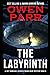The Labyrinth: A Joey Mancuso, Father O'Brian Crime Mystery Book 8