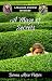 A Maze of Secrets: A Maggie...