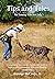 Tips and Tales: On Training Your Bird Dog