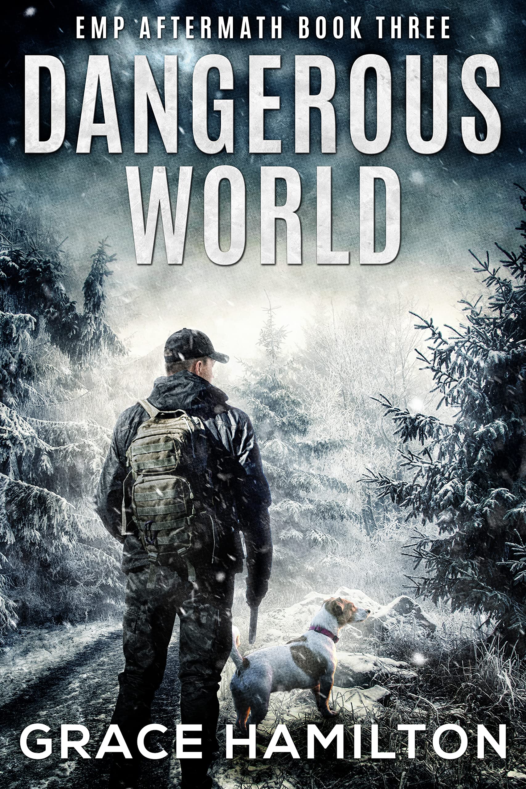 Dangerous World: A Post-Apocalyptic EMP Saga Filled With Fascinating Characters & Prepper Info (Kindle Edition)