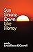 Sun Sinking Down Like Honey by Linda Recco O'Connell